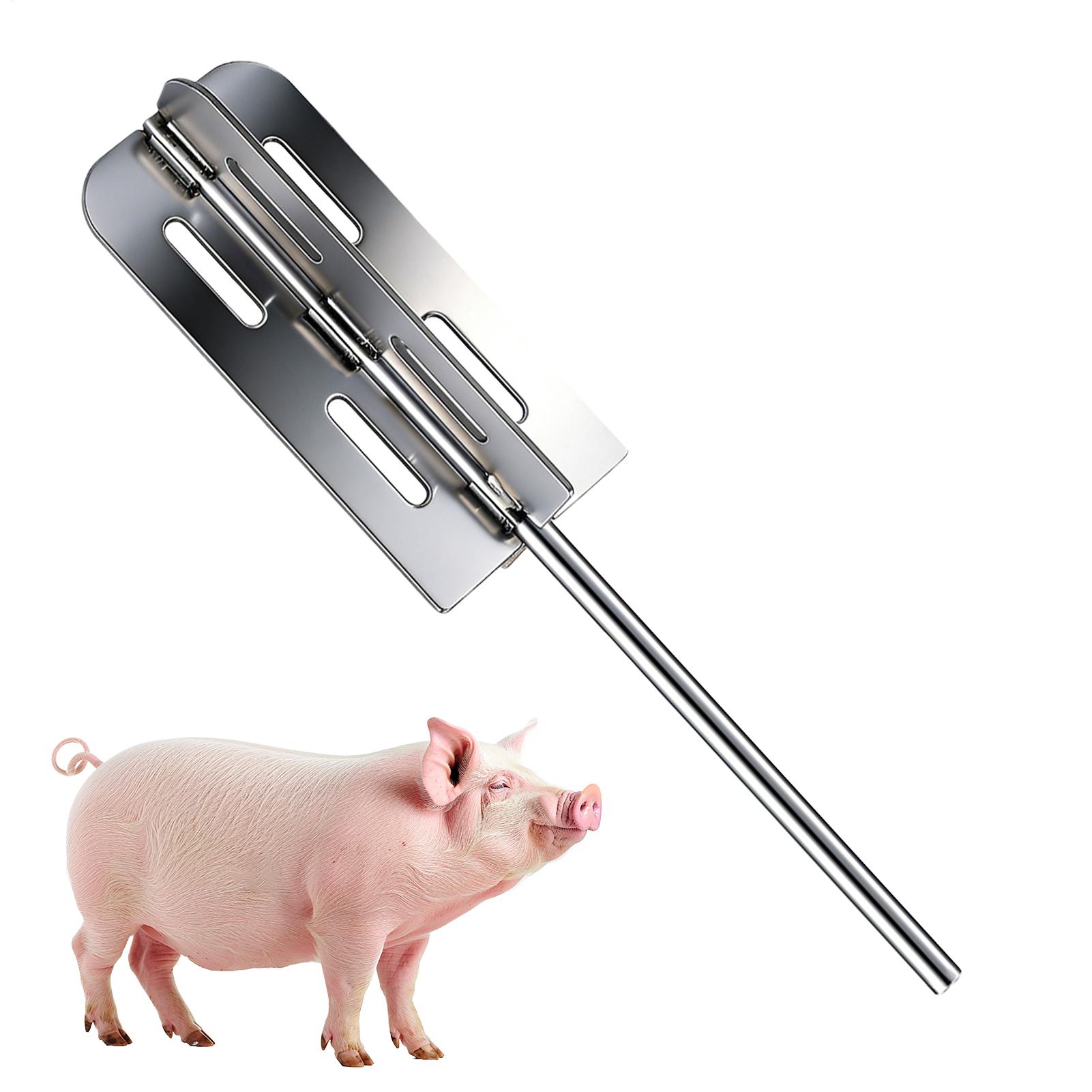 Hog Hair Removal Tool Stainles - Power Tools Workshop recension och pris